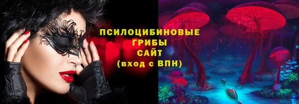 стаф Абаза