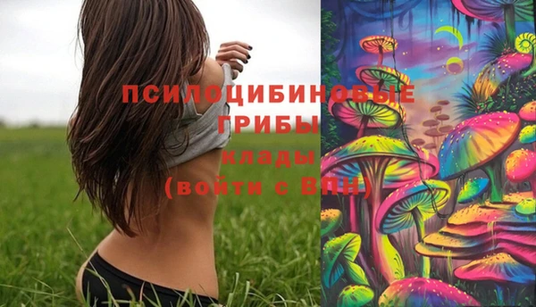 дмт Абинск