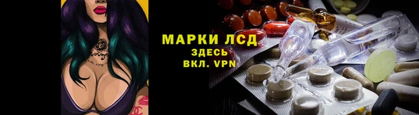 стаф Абаза