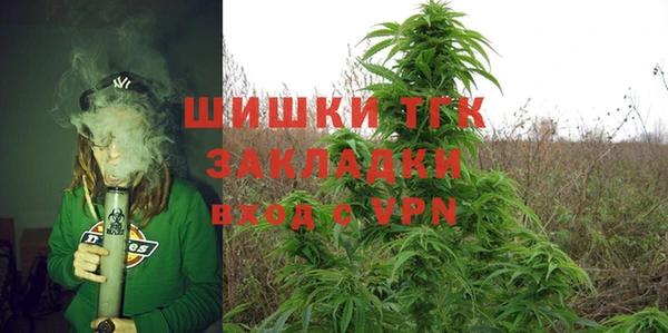 стаф Абаза