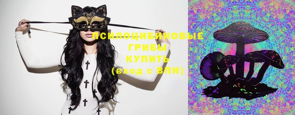 дмт Абинск